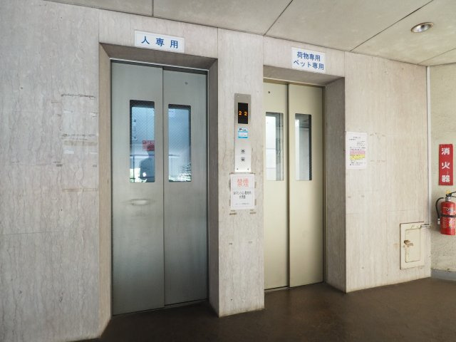 の-の画像