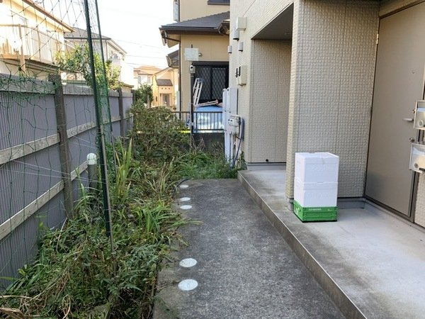 セノーテの展望
