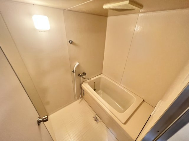 成田市玉造７丁目の賃貸マンションの浴室