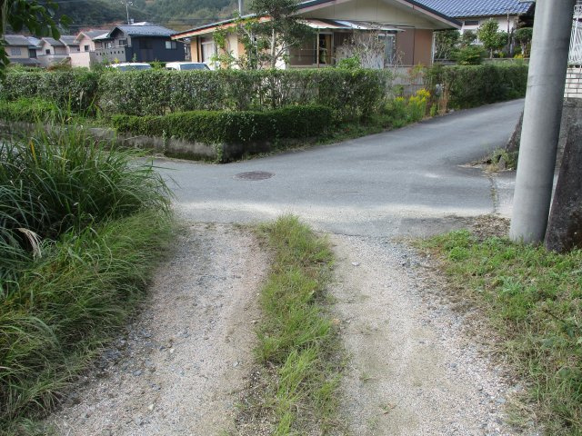 桜畠6丁目　売土地の前面道路含む現地写真