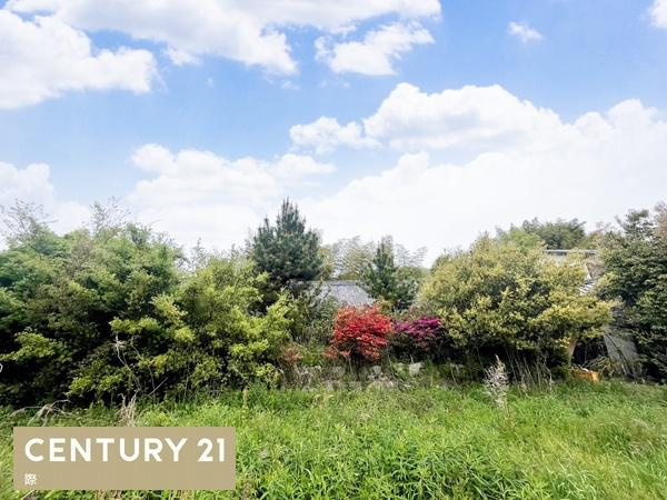 海草郡紀美野町下佐々　土地のその他|オークワ海南野上店まで約3590ｍ（車約6分）
