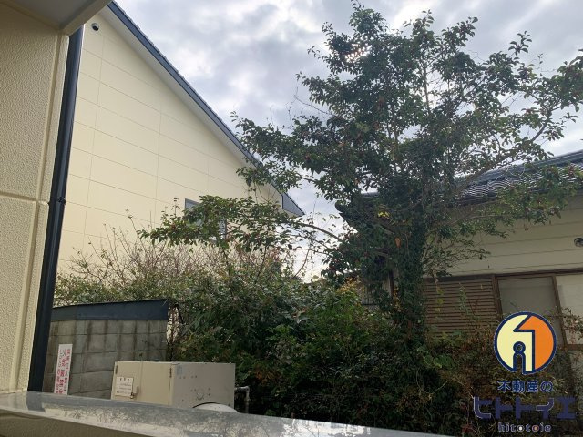 ユノソハイツ緒玉の展望|同タイプ