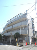 サングレース　12637の画像