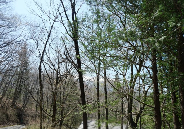 オリンポス三岳⑥