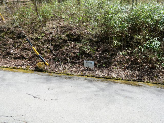 オリンポス三岳⑥の外観