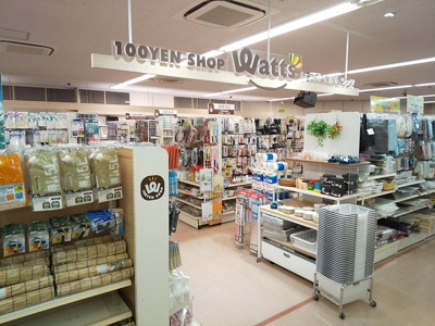 ワッツ 東新小岩店まで550m