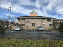 エレガント岩瀬の画像