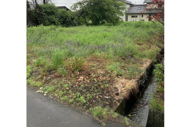 土地　上西郷の外観