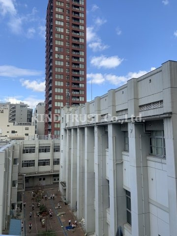 Chrysantheme Westの展望