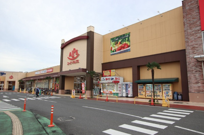 ※他社が使用している写真と重なってるため念のため掲載不可　スーパーアルプス 入間下藤沢店まで1100ｍ