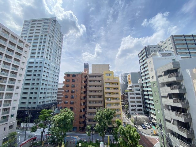 ライオンズマンション新宿東公園の展望