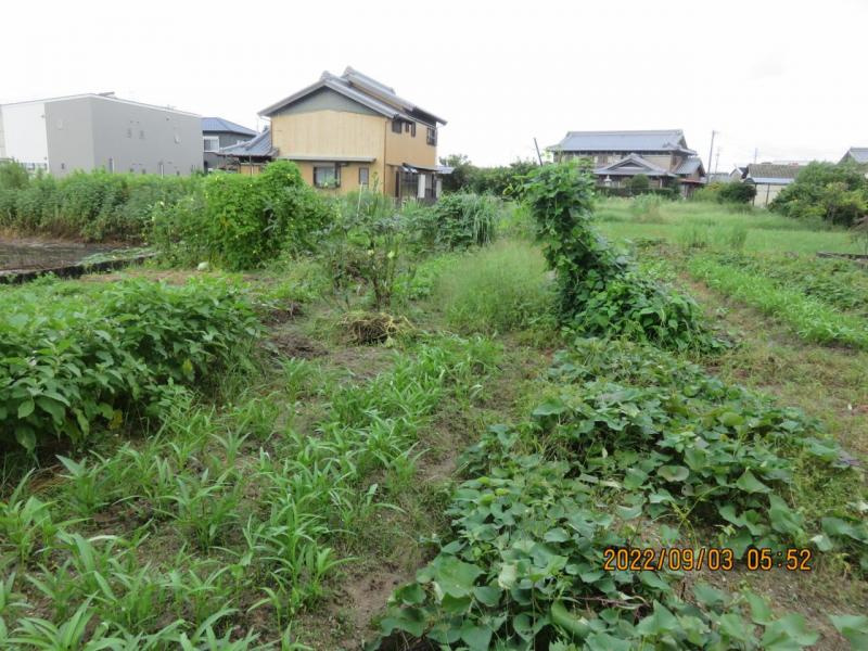 三重郡川越町大字亀崎新田新開の外観