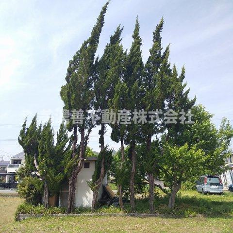 ６０８１１　岐阜市太郎丸中島土地の周辺