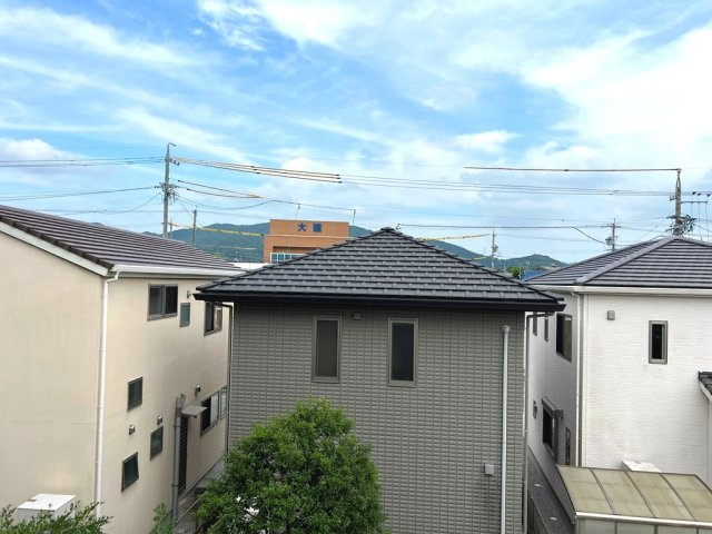 ぼたんの展望