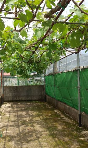 廿日市市津田字大別府　土地の外観