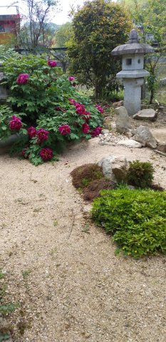 廿日市市津田字大別府　土地の外観