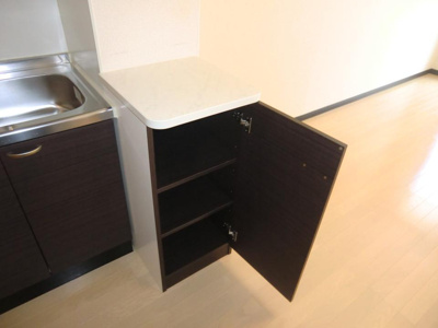 【収納】 | レオネクストＳＵＣＲＥ | カウンター部収納