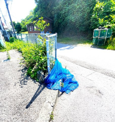 【その他】 | LEAO ALEGRIA