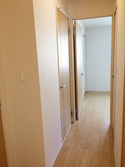 リサヤニシルのその他