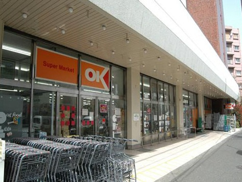 スカイポートの周辺|オーケー