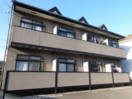 ペンサミエントの画像