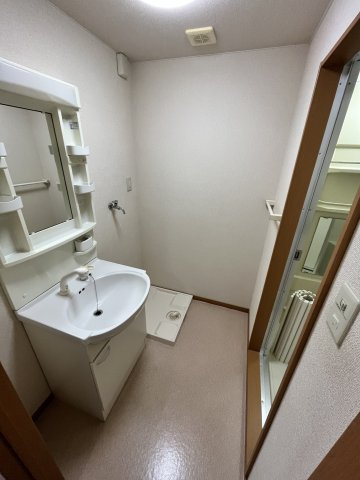 エテルナ鴨島の洗面所