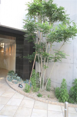 【エントランス】 | プロシード大阪梅田ポーション