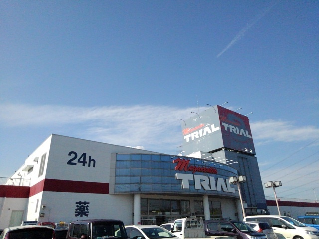 サンライト・キュートのその他|その他