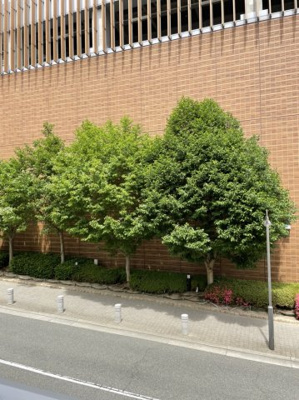 【周辺】 | CoLaBo六甲道駅前