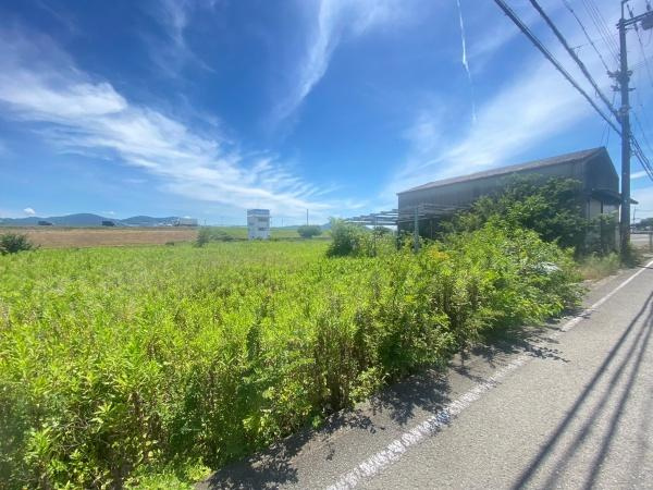 岩出市中島　土地の前面道路含む現地写真