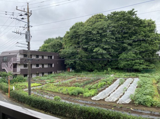 【展望】 | 現地眺望