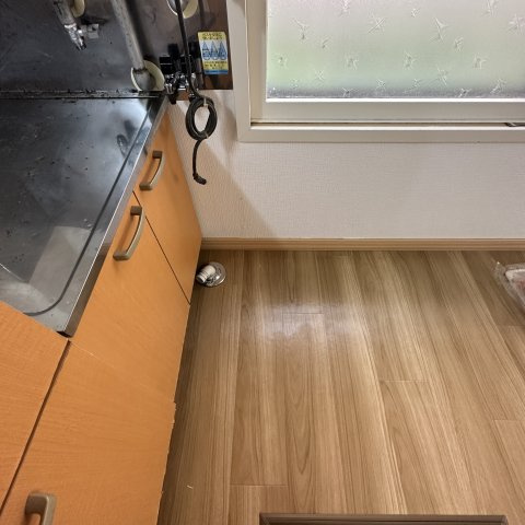 山手レジデンスのその他