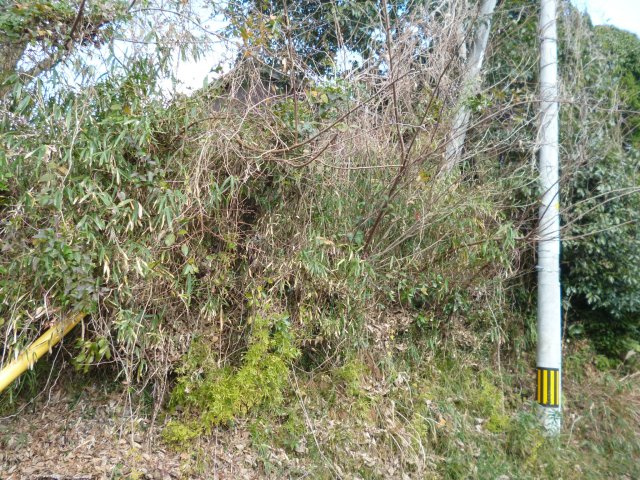 古熊　売土地の外観