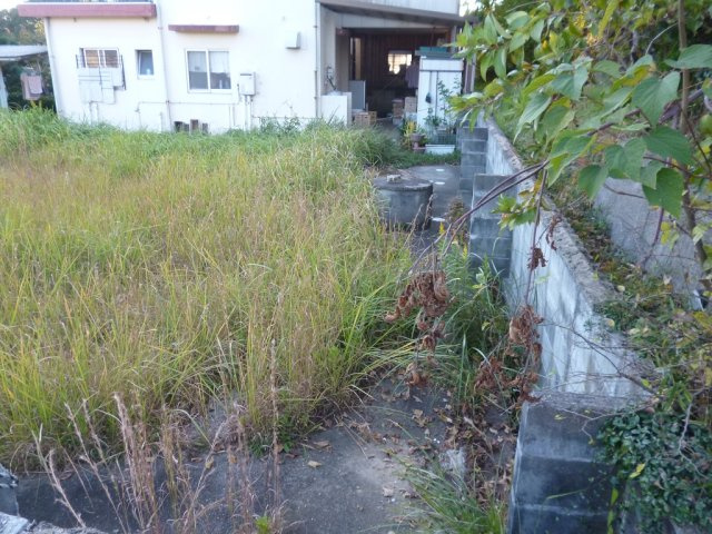 平野　売土地の外観