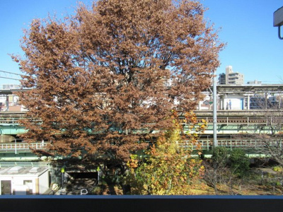 【展望】 | 小澤ビル | 春には桜が咲いてきれいです