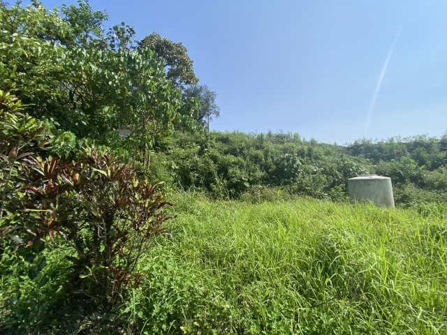 南城市大里字大里（全3区画・建築条件なし約40坪）の外観|※全3区画　A号地　998万円・B号地　998万円・C号地　契約済み