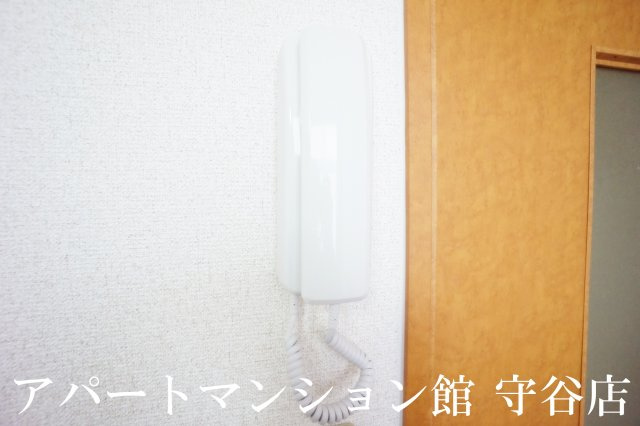 レオパレスカネエーズ柳橋のセキュリティ