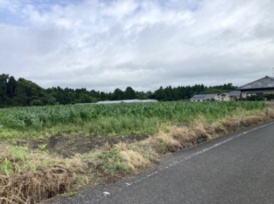 【外観】 | 肝属郡肝付町新富　売地