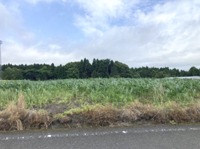 【外観】 | 肝属郡肝付町新富　売地