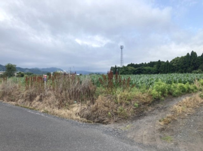 【外観】 | 肝属郡肝付町新富　売地