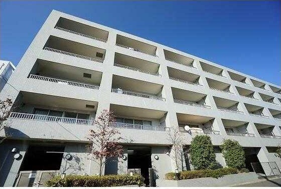 エコタワーバオバブ