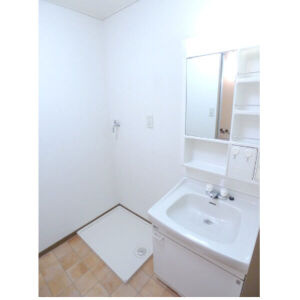 プラーティット本中山の独立洗面台