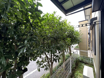 【展望】 | グランシャリオ　つが
