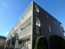 GRIDDER(グリッダー)の画像