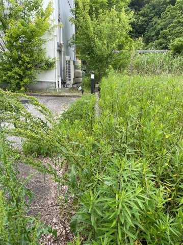 【周辺】 | 伊田売地