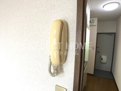  | アンプルールリーブルキニーネＳＵＮ
