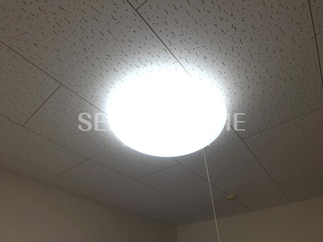 | アンプルールリーブルキニーネＳＵＮ