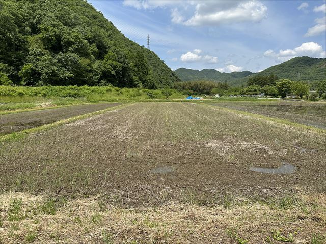 ６０８７５　岐阜市岩田西土地の外観