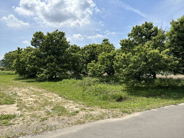 ６０８７４　岐阜市岩田西土地の外観