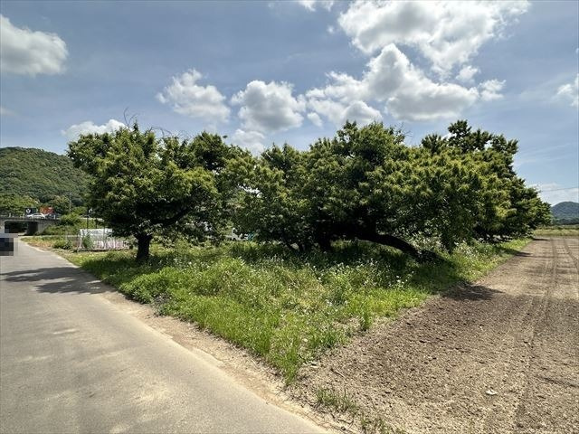 ６０８７４　岐阜市岩田西土地の外観